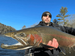 Hooking Into Massive Salmon